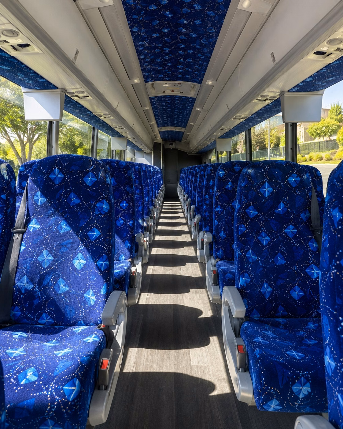 compare denver prom charter bus options for large groups heading out together